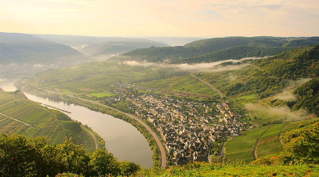 Wasser: wichtigstes Lebensmittel